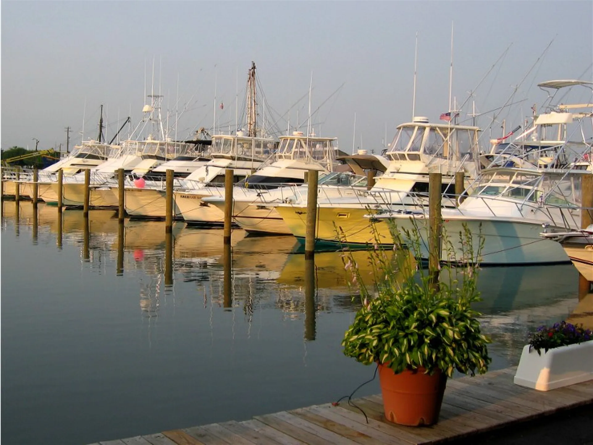 Cape May waterfront