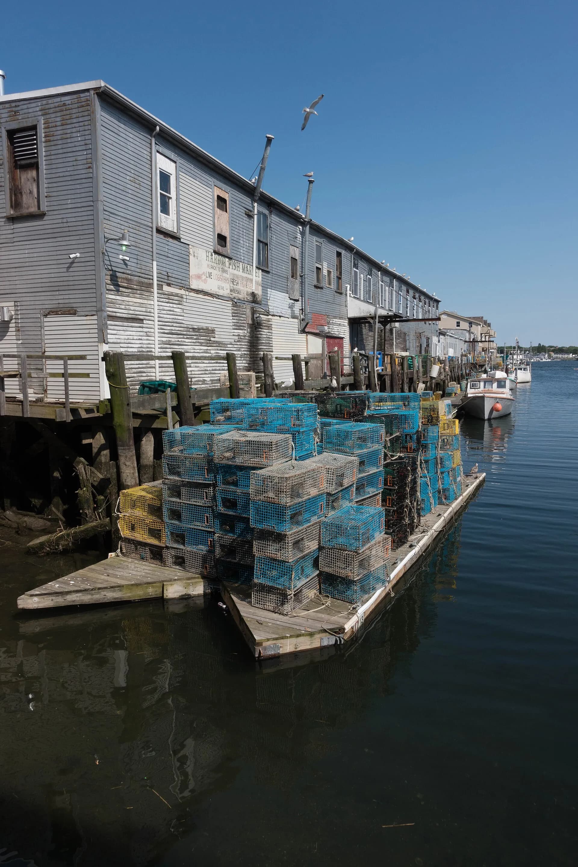 Vessel mix — Maine marinas