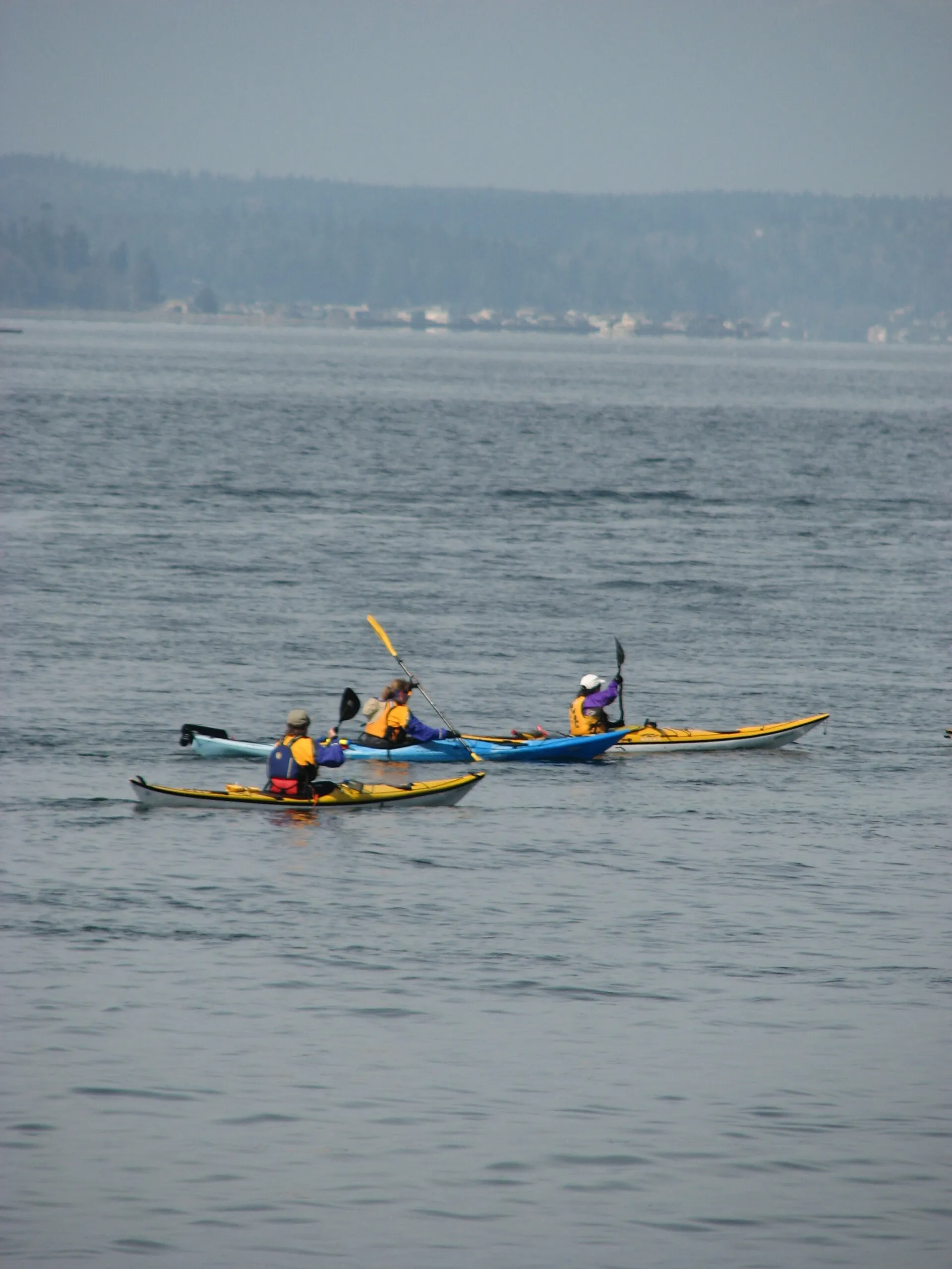 Daily coordination — Washington marinas